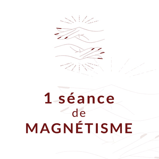 1 séance de Magnétisme